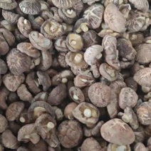 精选花菇干香菇湖北基地直供质量保证货源充足全国发货