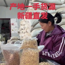 新疆油沙豆虎坚果产地直发