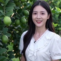 广东香水青柠檬一级果