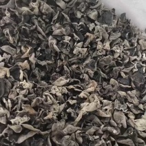 【2025】新东北原货木耳/黑木耳/秋木耳/餐饮商超电商