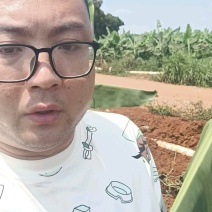 板栗南瓜产地直供，货源充足价格不贵！