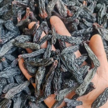 【热卖】蓝宝石葡萄干，大颗粒蓝宝石葡萄干无核葡萄干