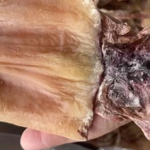 鱿鱼干地摊电商批发无头鱿鱼干整个鱿鱼干干鱿鱼