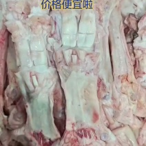 大个牛蹄筋干货，批发价20多