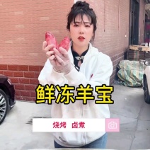 鲜冻大瑶宝，20多一斤，净重30斤箱装