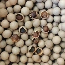 桂圆干，桂圆肉电商专用，一手货源，支持一件代发