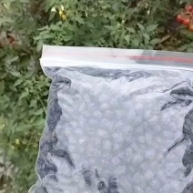 阳江豆豉