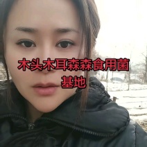 碗耳批发产地直发电商供货