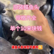 原装进口鱼头，皮黑肉白，一件起批！