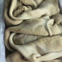 纯干熟牛肚，肉质厚实无冰无油，十成熟！