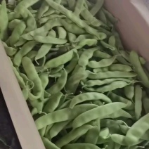 豆子更大更长，品质更好