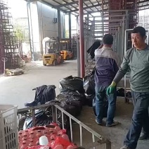 山东蒜黄干黄现割现装车对接电商市场50公分到60长，代发
