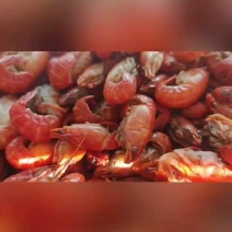 源头厂家直供带黄小龙虾仁