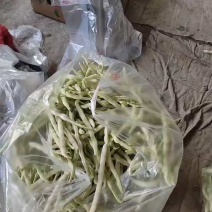 价格便宜，下午有货，需要的联系！