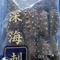 即食海参大连即食鲜食海参新鲜独立装规格齐全非淡干冷链直达