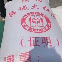 新货四川青麻椒色选青麻椒无籽无刺青麻椒《支持看货》