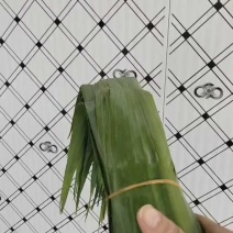 苇叶天然苇叶现摘现发产地直供一手货源欢迎咨询