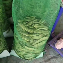 油豆角紫花油豆万亩基地产地直销保质保量
