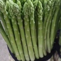 基地直供云霄新鲜绿芦笋，现摘现卖，欢迎广大电商订购。