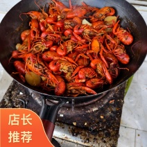 盱眙小龙虾新鲜上市养殖场产地直发安徽六安自家基地