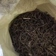饲料小鱼干，大量有货，品质优良。