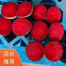 徐州红甜菜基地全年供应红甜菜货量充足全国发货致电联系