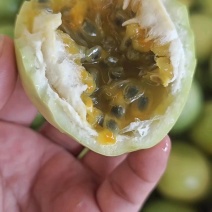 正宗钦蜜9号百香果产地直发一件代发货源充足
