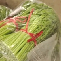 【平台力推】产地直发【诚信经营】保质保量【量大从优】茼蒿