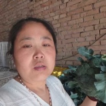 产地西兰花产量骤减，价格蹭蹭上涨！