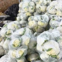 河南小米粒青梗有机花菜散花菜松花菜颜色好可视频看货