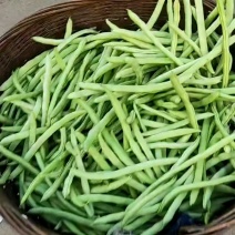 红花白夹四季豆，架豆，四川产地发货，大量有货，品质保证