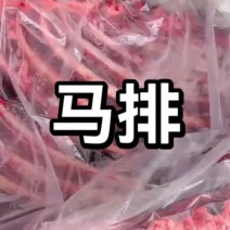 马排新货活马鲜宰可切块大小尺寸可定