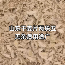 山东优质小黄姜片，大黄姜片，货量充足诚信经营致电联系