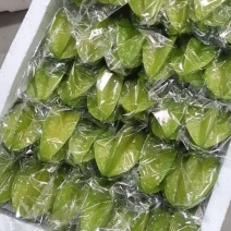 甜杨桃，广东杨桃，一手货源量大从优欢迎下单