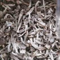 鹿茸菇干鹿茸菇干货菌菇a级鹿茸菇c级鹿茸菇无碎渣不发黄