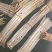 湖北新鲜藕带大量供应品质保证诚信经营欢迎老板来电