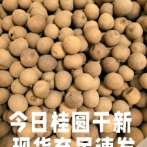 桂圆干大量现货，批发零售，工厂直发。