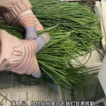 沙葱