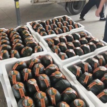 四川正宗贝贝南瓜，粉糯香甜，面粉级别，大量供应，货源充足