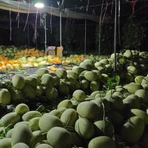 民勤西周密，对接店商超市场，欢迎洽谈合作
