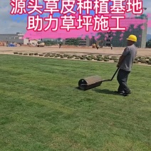 【量大可谈】台湾草草皮多基地直供现铲现发可视频看货