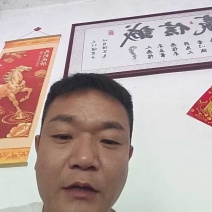 四川枇杷大量上市，工厂果，罐头果，市场精品货，支持一件代