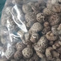 泌阳花菇甲天下精品花菇正在加工待发中大量供应原产地货源