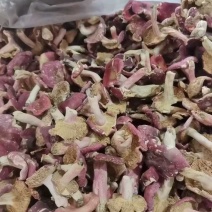一斤批发红菇原产地野生红菇干货红蘑菇红椎菌包邮