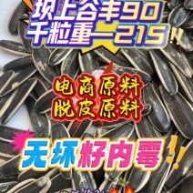 古风90颗粒大，3块多钱，现货20吨！