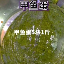 甲鱼蛋5块1斤，乌龟蛋5块1斤，吃甲鱼，甲鱼蛋你们怎么处理了