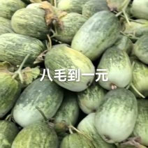 山东甜瓜头茬绿宝石甜瓜新鲜当季现摘一斤半起步可视频看货可