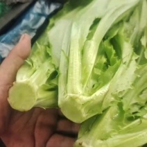 【实力商家】产地直发【保质保量】诚信经营【量大从优】油麦