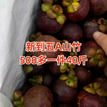 新到五A山竹，500多一件，货品优质！