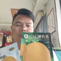 黄香脆1号哈蜜瓜种子黄皮红肉大果型抗病抗裂
